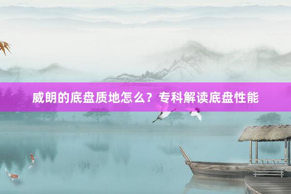 威朗的底盘质地怎么？专科解读底盘性能