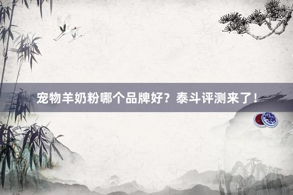 宠物羊奶粉哪个品牌好？泰斗评测来了！