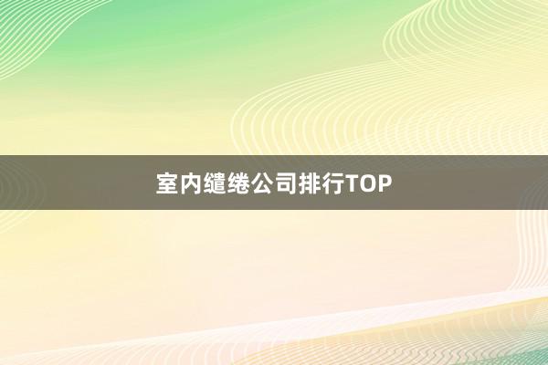 室内缱绻公司排行TOP
