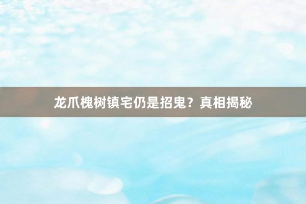龙爪槐树镇宅仍是招鬼？真相揭秘
